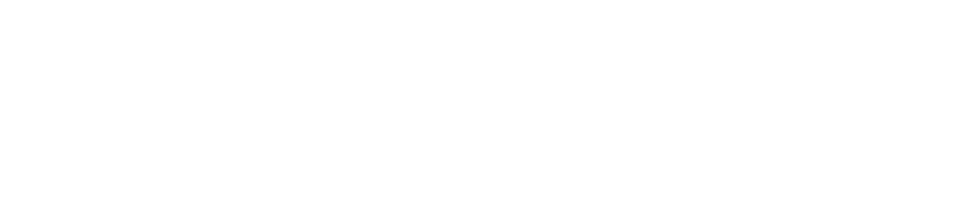 Link Campus University